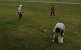 IMG-7cdda45ef4ae7b8647b7e2381a6c2080-V[1]